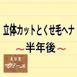 立体カット（くせ毛カット）とくせ毛ヘナを続けて半年後