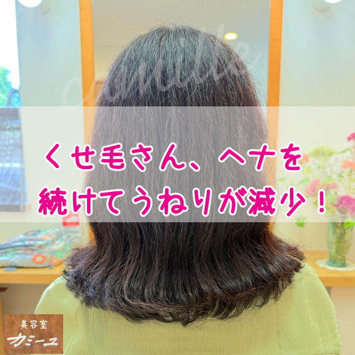 くせ毛さん、国産ヘナを続けてうねりが減少！