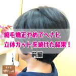 縮毛矯正やめてヘナと立体カットを続けた結果!前編 縮毛矯正やめてヘナと立体カットを続けた結果!前編